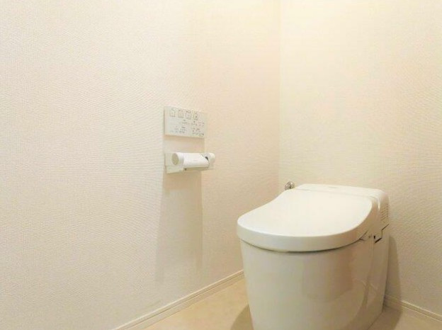 エマーレ国立のトイレ