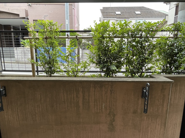エミネンスフラットの展望