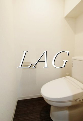 【トイレ】 | ブライズ祖師ヶ谷大蔵DUE | トイレです。