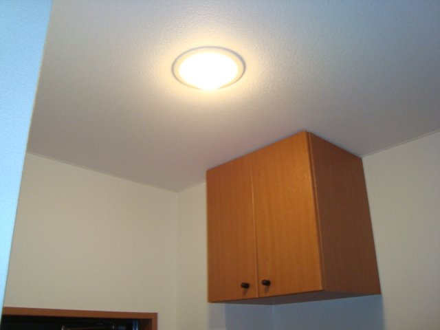 ステラの収納|下駄箱上収納