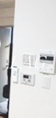 【セキュリティ】 | アーバンプレイス高田馬場α | モニター付インターホンです。