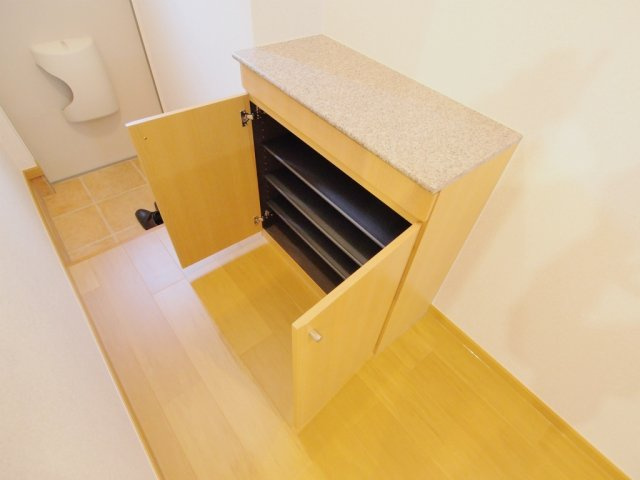 ノイインプレスの収納