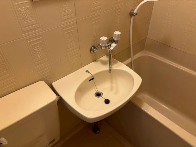 ヤングタウンの洗面所