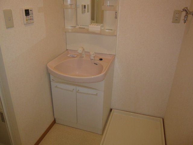 ドミール堂本の洗面所