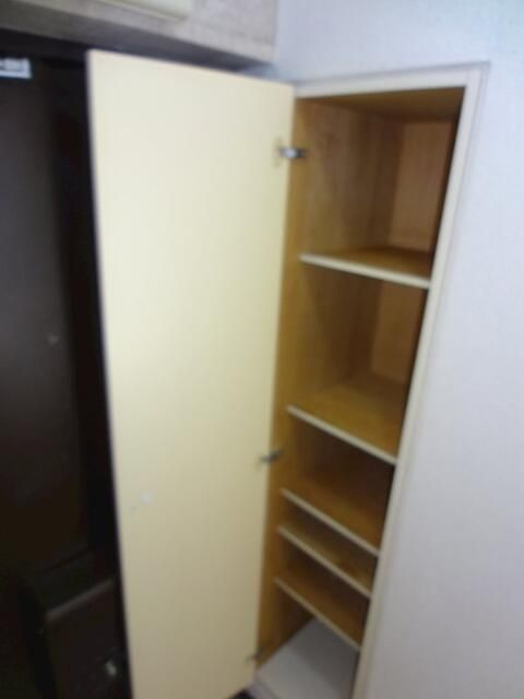 ペガサスマンション白山の収納