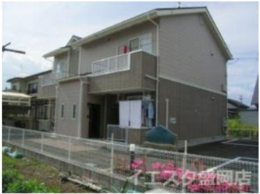 コンフォート　グリーン