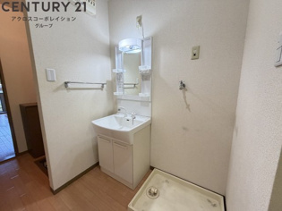 シャンプードレッサー