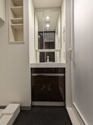 【独立洗面台】 | ケーディーエックスレジデンス豊洲