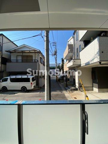 F asecia brunonii  (エフ　アセシア　ブルノニー)の展望