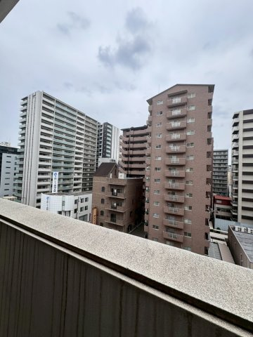 URBAN FLATS中之島 (旧 LaDouceur中之島)の展望