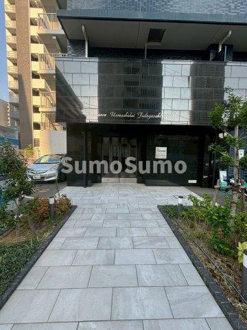 プレサンス上町台筆ヶ崎　SOUTHのエントランス