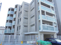 Colore south eightの画像