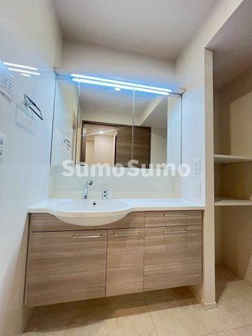 Ｄ－ｒｅｓｉｄｅｎｃｅ上甲子園の洗面所