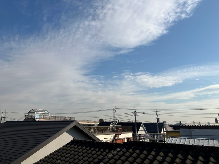 東本郷戸建の展望