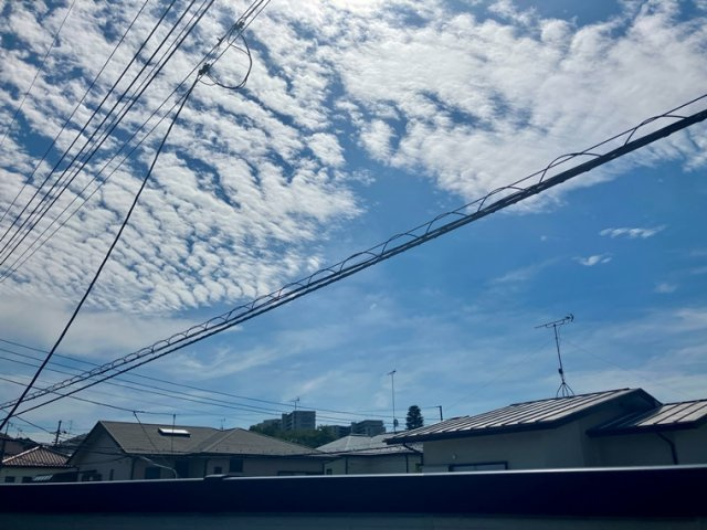 元福岡戸建の展望