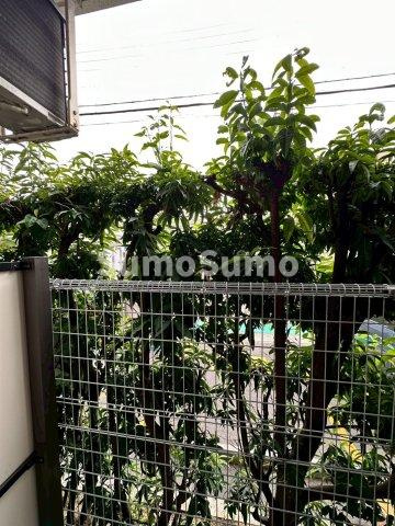 ハッピーリーブスの展望