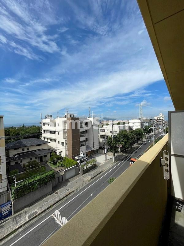 アロハ海岸通 の展望