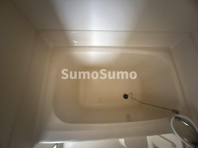 オギタビルの浴室