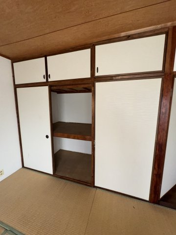 オオタニサンクレバーの収納
