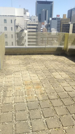 Ritz SQUARE Ⅱのその他