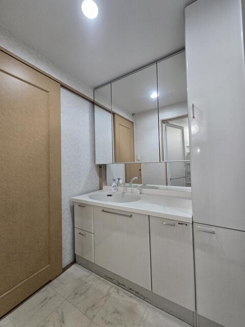 ポレスター潮新町の洗面所