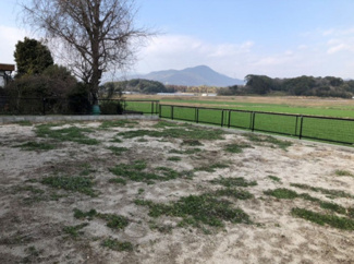 【庭】 | 福岡県朝倉郡筑前町当所 
