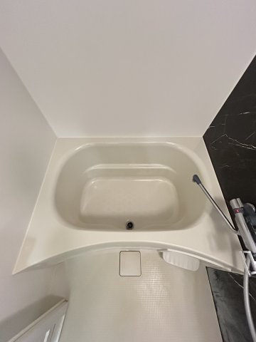 コンフォリア阿波座の浴室