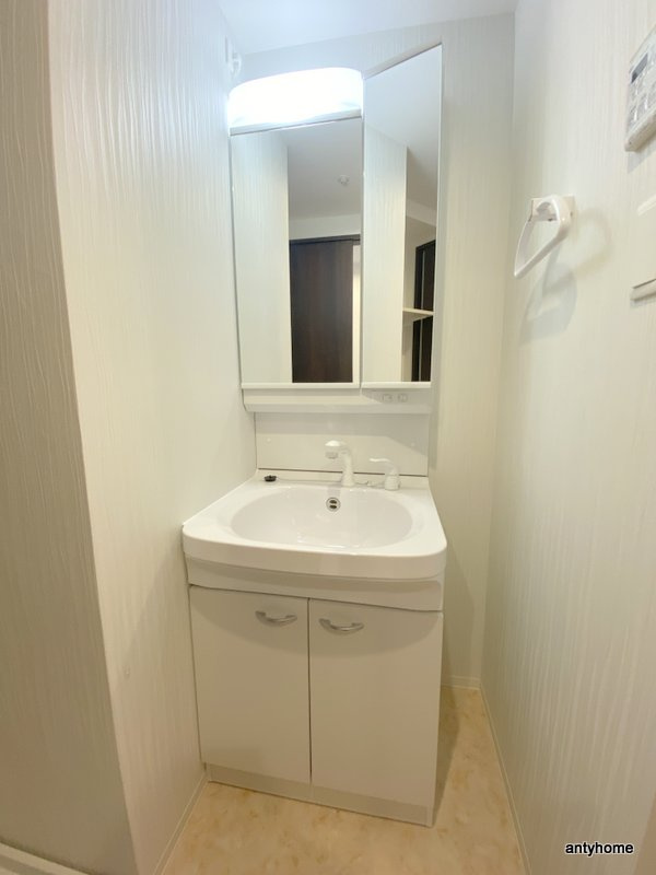 ワールドアイ大阪城EASTⅡ 仲介手数料無料の洗面所