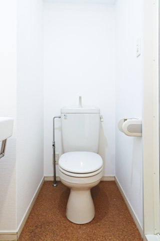 サヴォイバルビゾン　2階のトイレ|別号室のものです。現状優先になります。