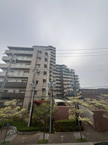 サンヒルズ西灘の展望