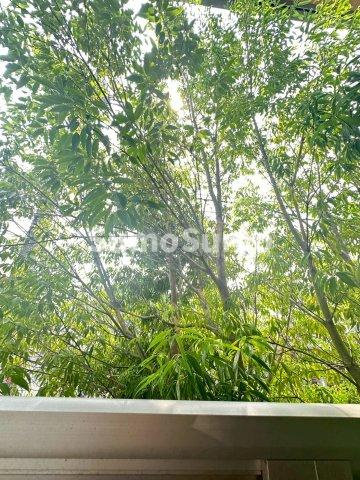 サンフォルテの展望