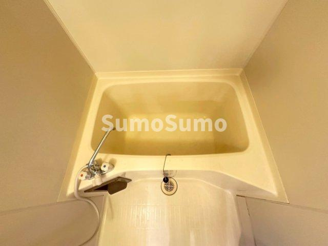 ヴィユー歌敷山の浴室
