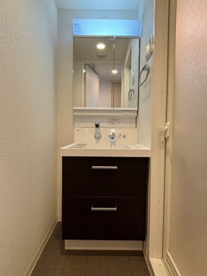 【洗面所】 | ハーモニーレジデンス名古屋今池
