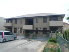 ティアレの画像