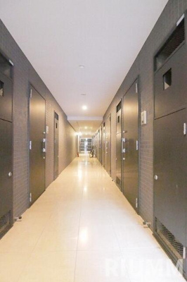  | ブライズ上池台