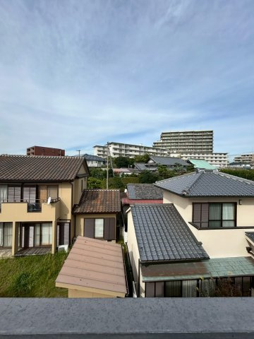 シルバーウィリアムスの展望