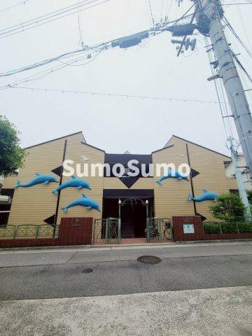 カリフォルニアドリーム