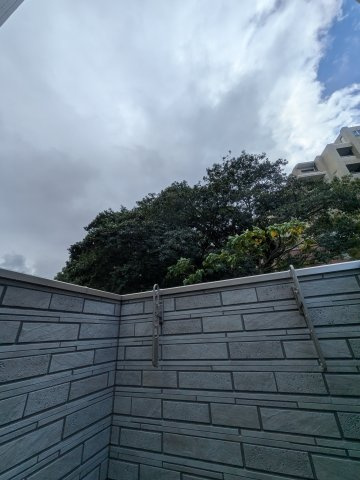 Belle Lead大橋の展望
