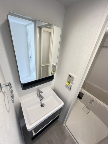 セレニテ元町アリエの洗面所