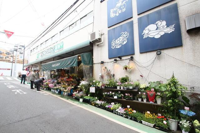 Ｖｉｓｔａ参宮橋の周辺|マルマンストア参宮橋店まで113m 