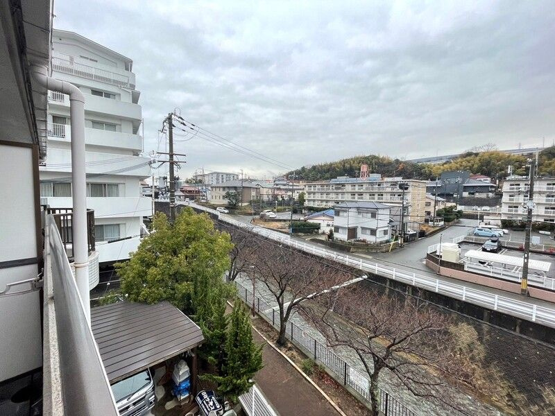 ドリーム寺池の展望