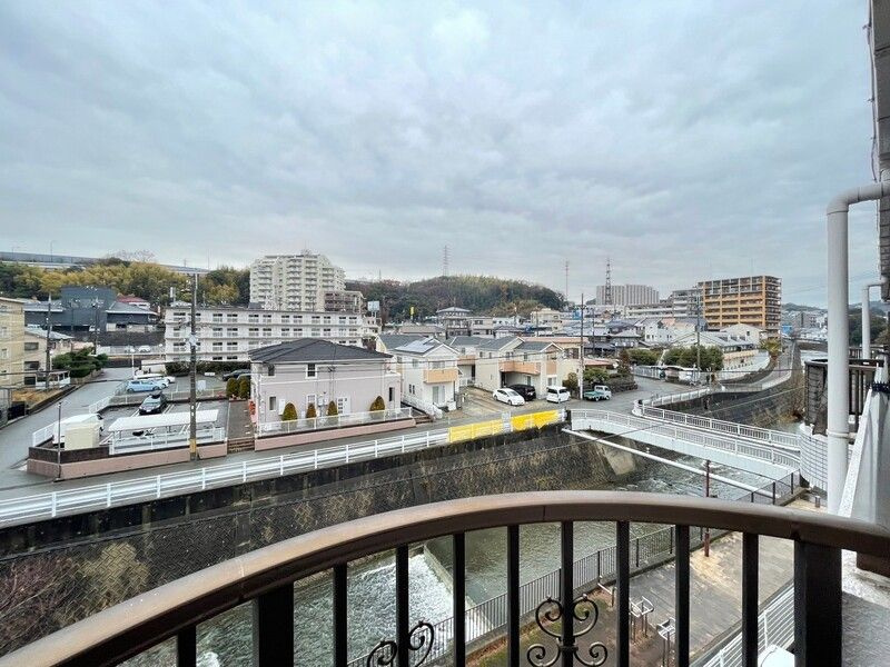 ドリーム寺池の展望
