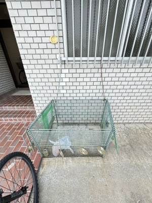 【その他共用部分】 | メゾンパークサイドK