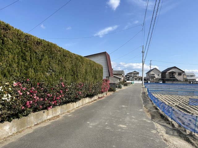 鳴門市撫養町立岩字芥原土地の前面道路含む現地写真