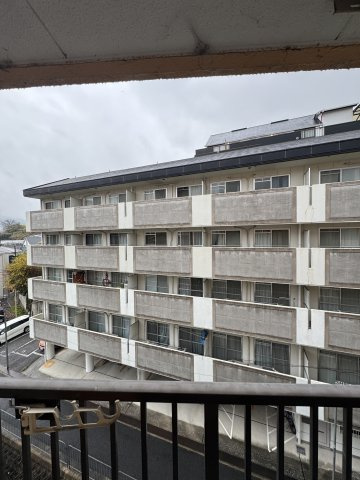 デュランタの展望