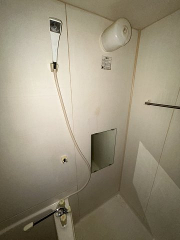 トレヴィの泉のその他
