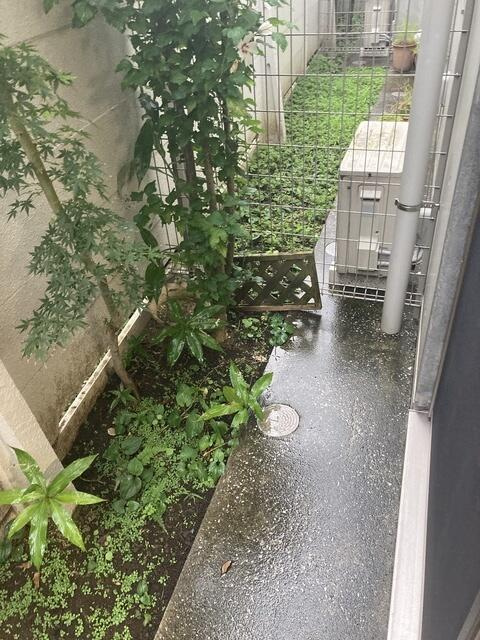 コート・ドールの展望