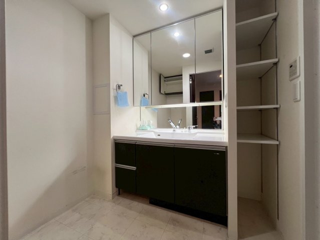 セレッソコートマスターズハウスの独立洗面台