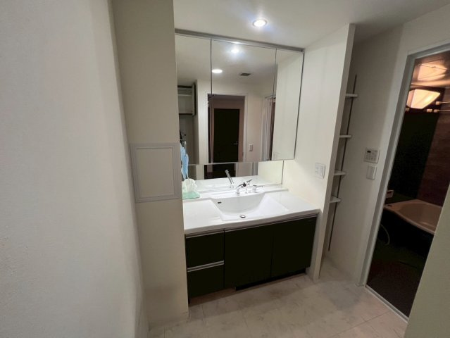 セレッソコートマスターズハウスの独立洗面台