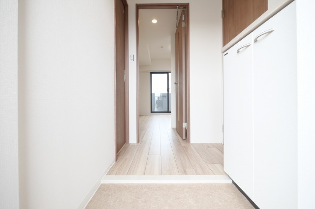 大阪市東淀川区東中島２丁目の賃貸マンションの玄関